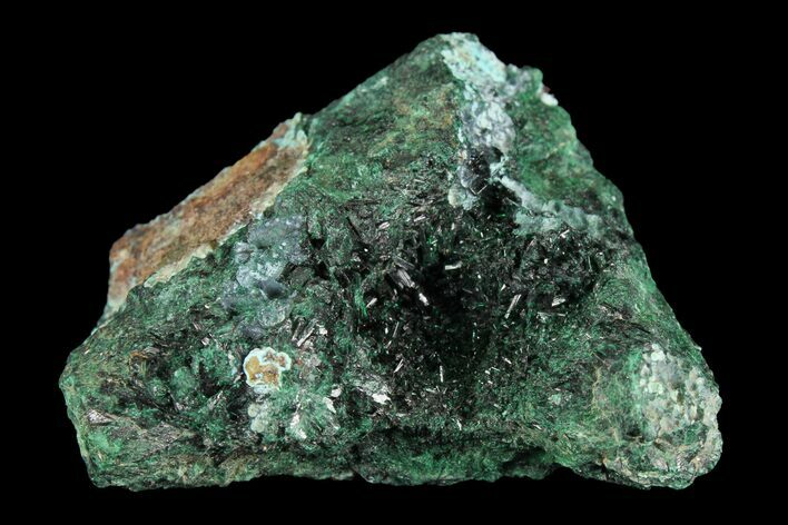 Atacamite & Chrysocolla Association - Peru #98155